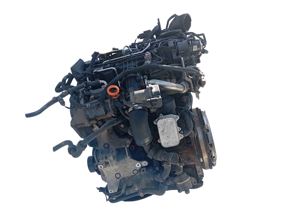 R2026-0003064